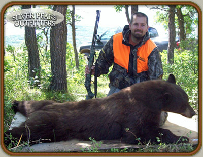 A nice black bear taken with Silver Peaks Outfitters in Southwest Colorado