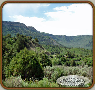 Looking up Big Belmear Canyon, one of several canyons and draws with prime habitat for Elk, Mule Deer and Black Bear