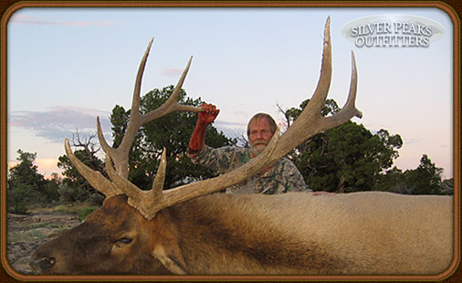 This big Bull Elk was taken by Bob Kaplan, while bowhunting with Silver Peaks Outfitters in Southwest Colorado