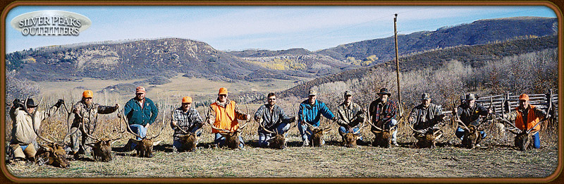 Success by the dozen: Silver Peaks Outfitters trophy elk hunters!